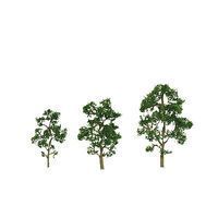 Deciduous-92059