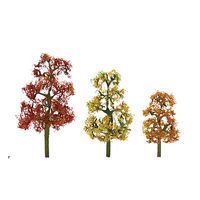Deciduous-92063