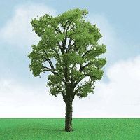 Deciduous-92208