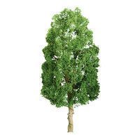 Deciduous-94316