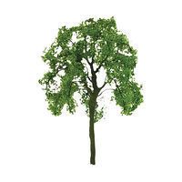 Deciduous-94425
