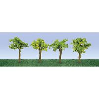Plants-95516 : HO