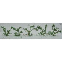 Plants-95525 : HO