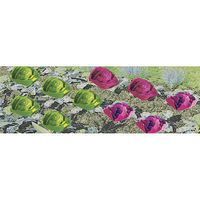Cabbages & Lettuces 1/4 Inch Width 20/pk - 95527 : HO