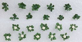 Plants-95529 : HO