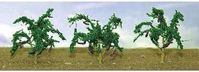 Plants-95578 : HO
