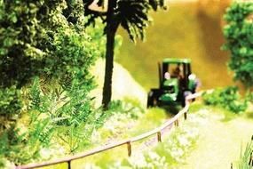Plants-14100