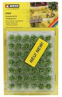 Ground Cover-7024