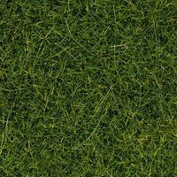 Wild Grass XL, Light Green, 12mm (.047") long Static Grass - 7097