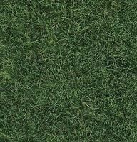 Static Grass-7102