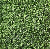 Ground Cover-7142