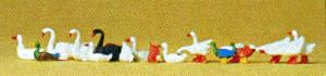 Animal-14167 : HO