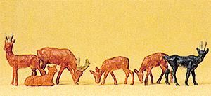 Animal-14178 : HO