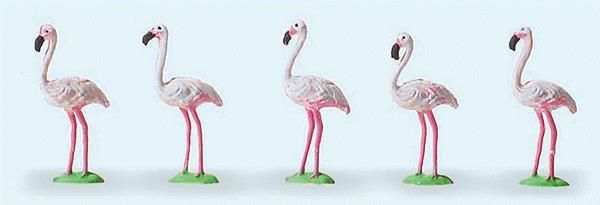 Animal-20372 : HO