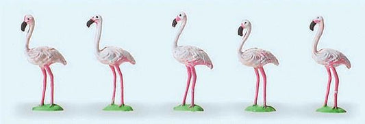 Animal-20372 : HO