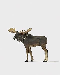 Animal-29509 : HO