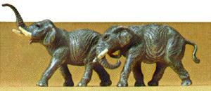 Animal-79710 : N