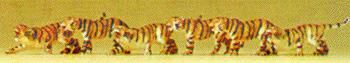 Animal-79714 : N