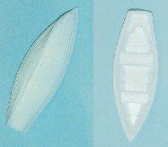 Marine Detail-HO1078 : HO