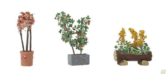 Plants-1085 : HO