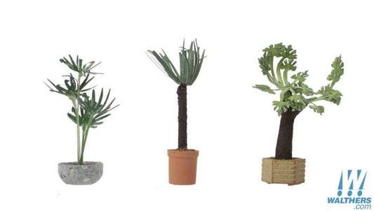 Tropical Plants - Botanicals 3 Plants - 1086 : HO