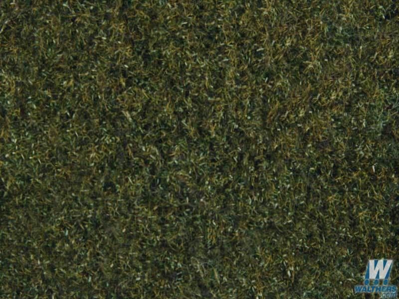 Plants-1225