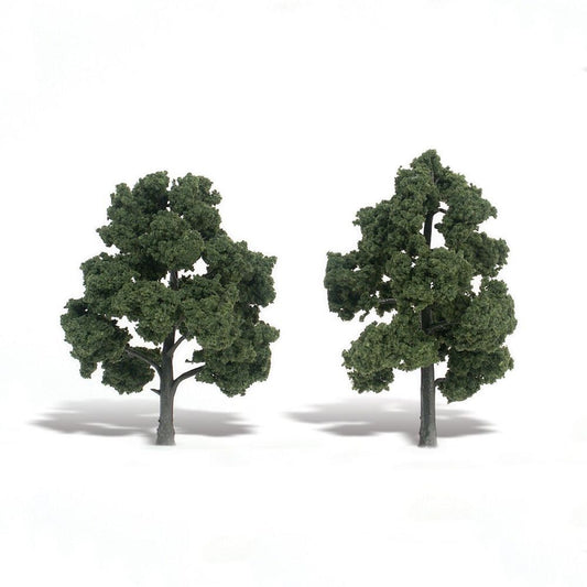 Deciduous-TR1513