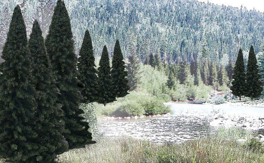 Evergreen-TR1585
