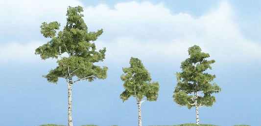 Deciduous-TR1605