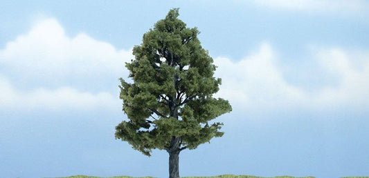 Deciduous-TR1608