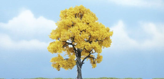 Deciduous-TR1613