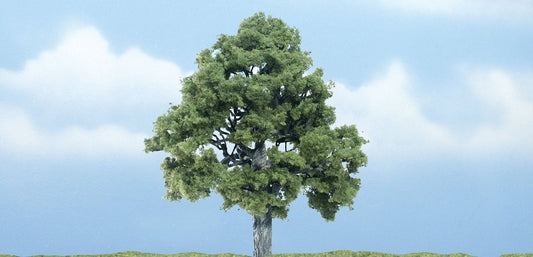 Deciduous-TR1615