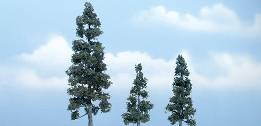 Evergreen-TR1619