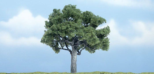 Deciduous-TR1622