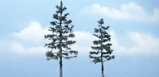 Evergreen-TR1624