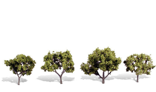 Deciduous-TR3503