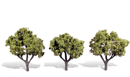 Deciduous-TR3506