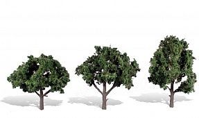 Deciduous-TR3511