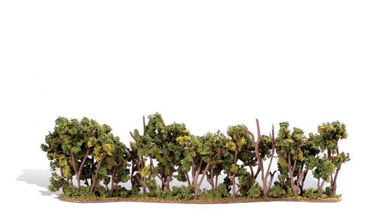 Plants-TR3581