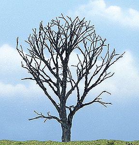Deciduous-TR1614