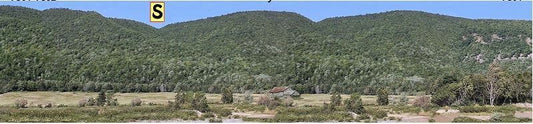 Background Scene-M050
