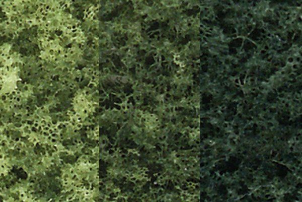 Evergreen-TR1101
